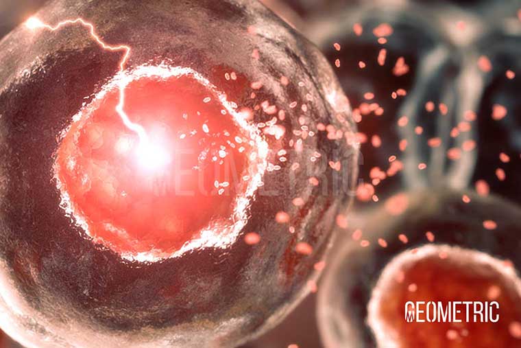 oncology cell signalling animation