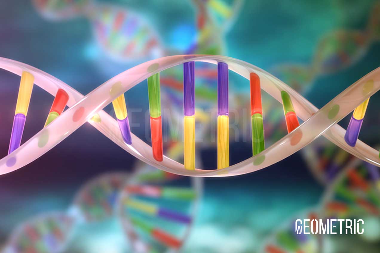 DNA 3D Illustration by Geometric Medical