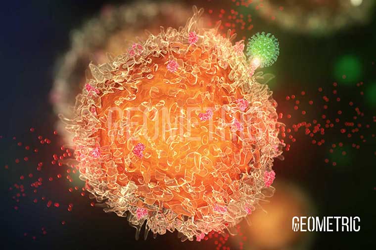 Influenza Virus animation