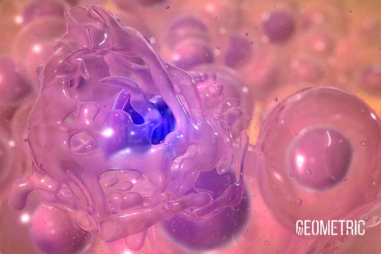 oncology cell signalling animation