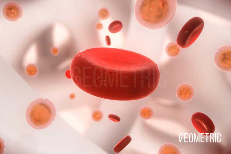 secondary anemia to CKD animation