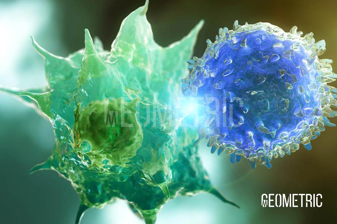 Breast Cancer Immunotherapy MOA Animation — Geometric