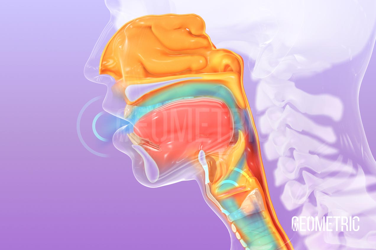 Laryngectomy Animation | Geometric Medical