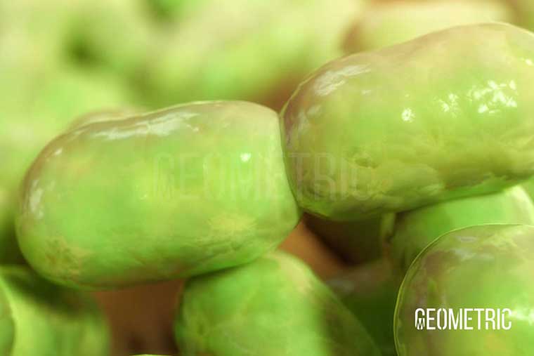 Bacterial Infection Illustration