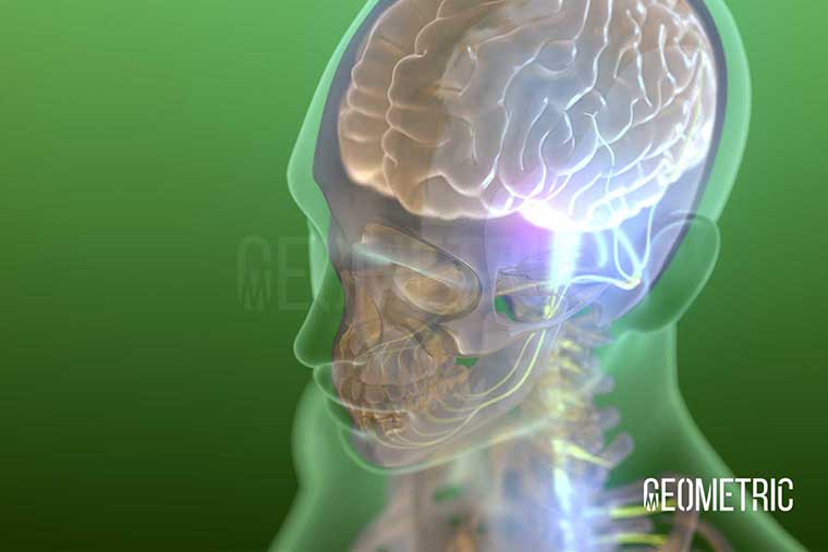 Brain Signalling Illustration