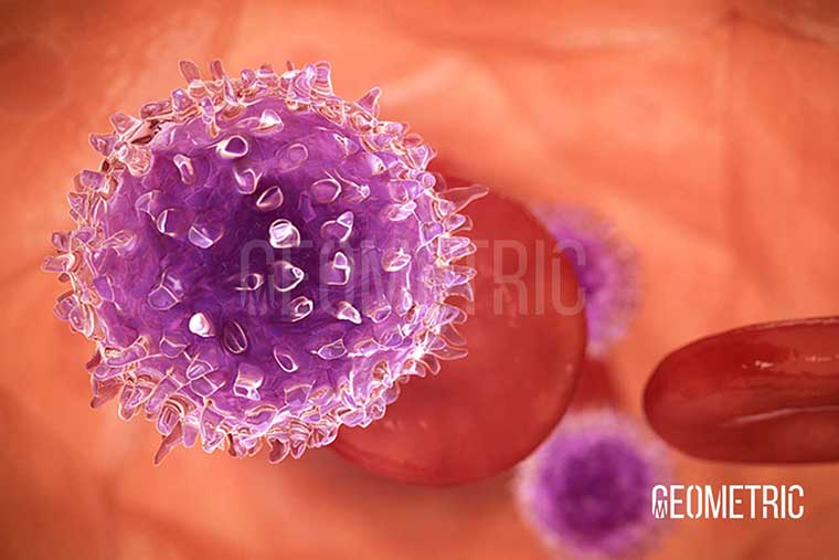T Cells Illustration