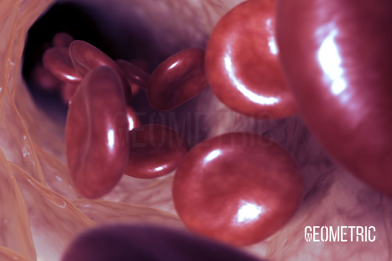 Red Blood Cells Illustration
