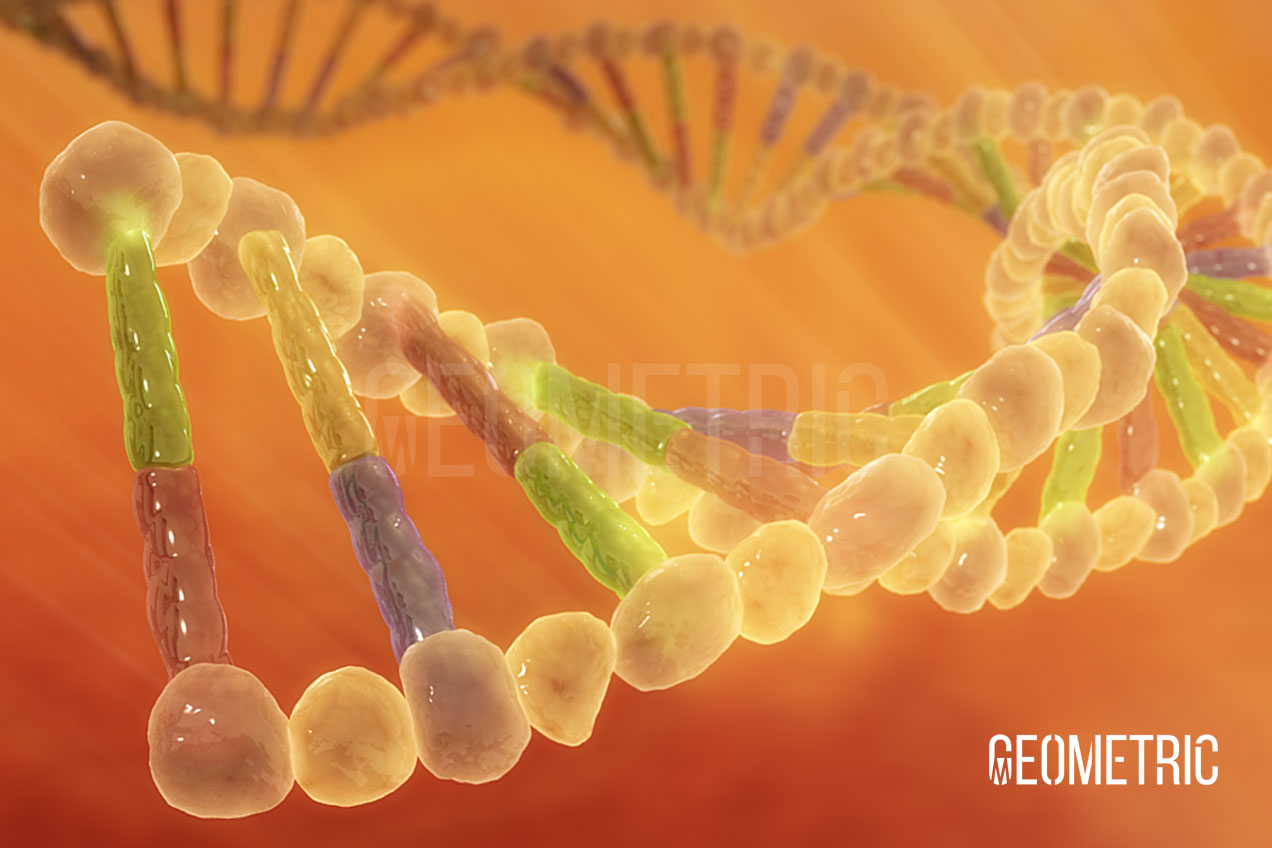 A stylized DNA 3D Illustration by Geometric Medical