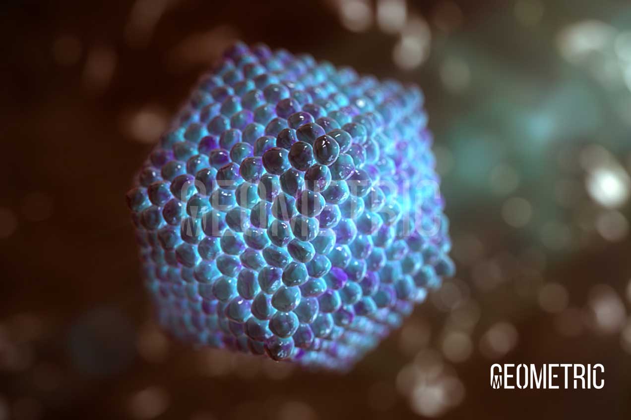HCV, illustrated by Geometric Animation
