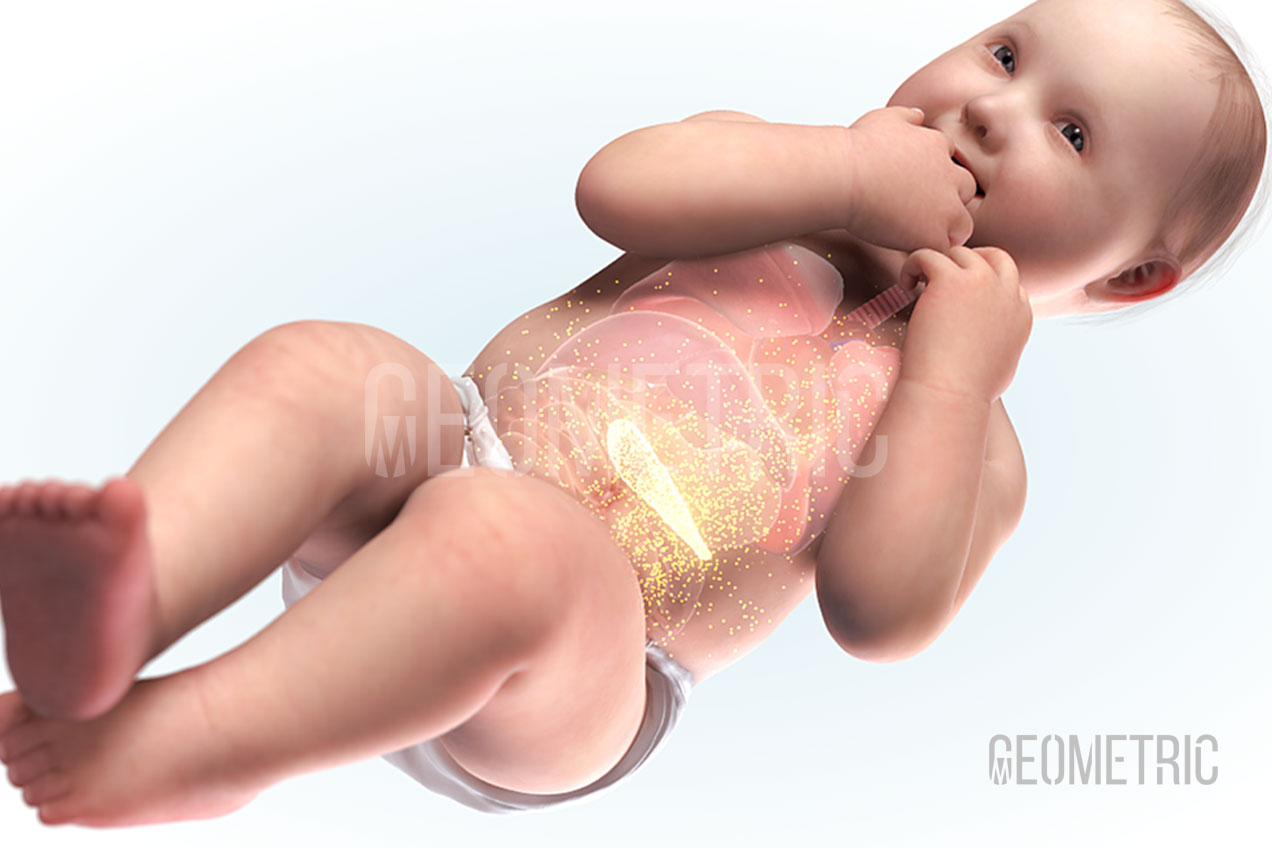 Hypoglycaemia 3D Illustration