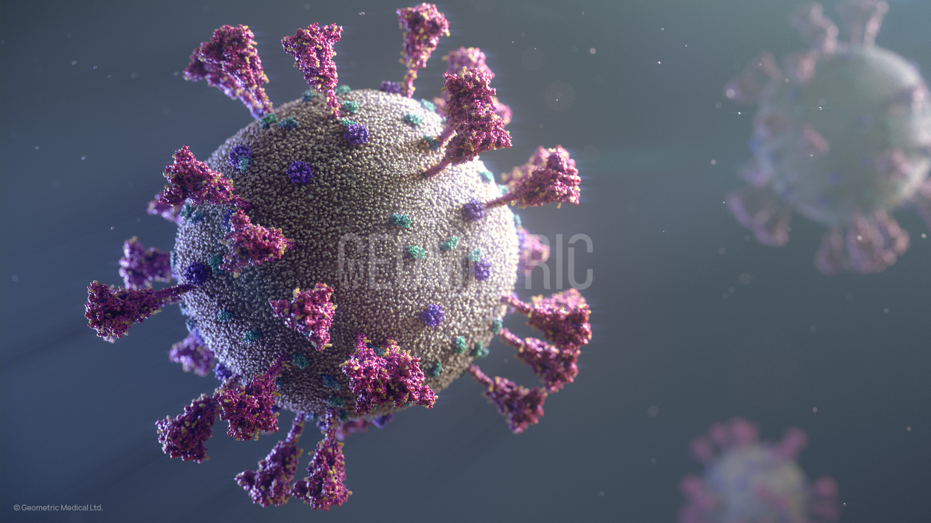 3D visualisation of SARS-CoV-2 COVID-19 by Geometric Medical