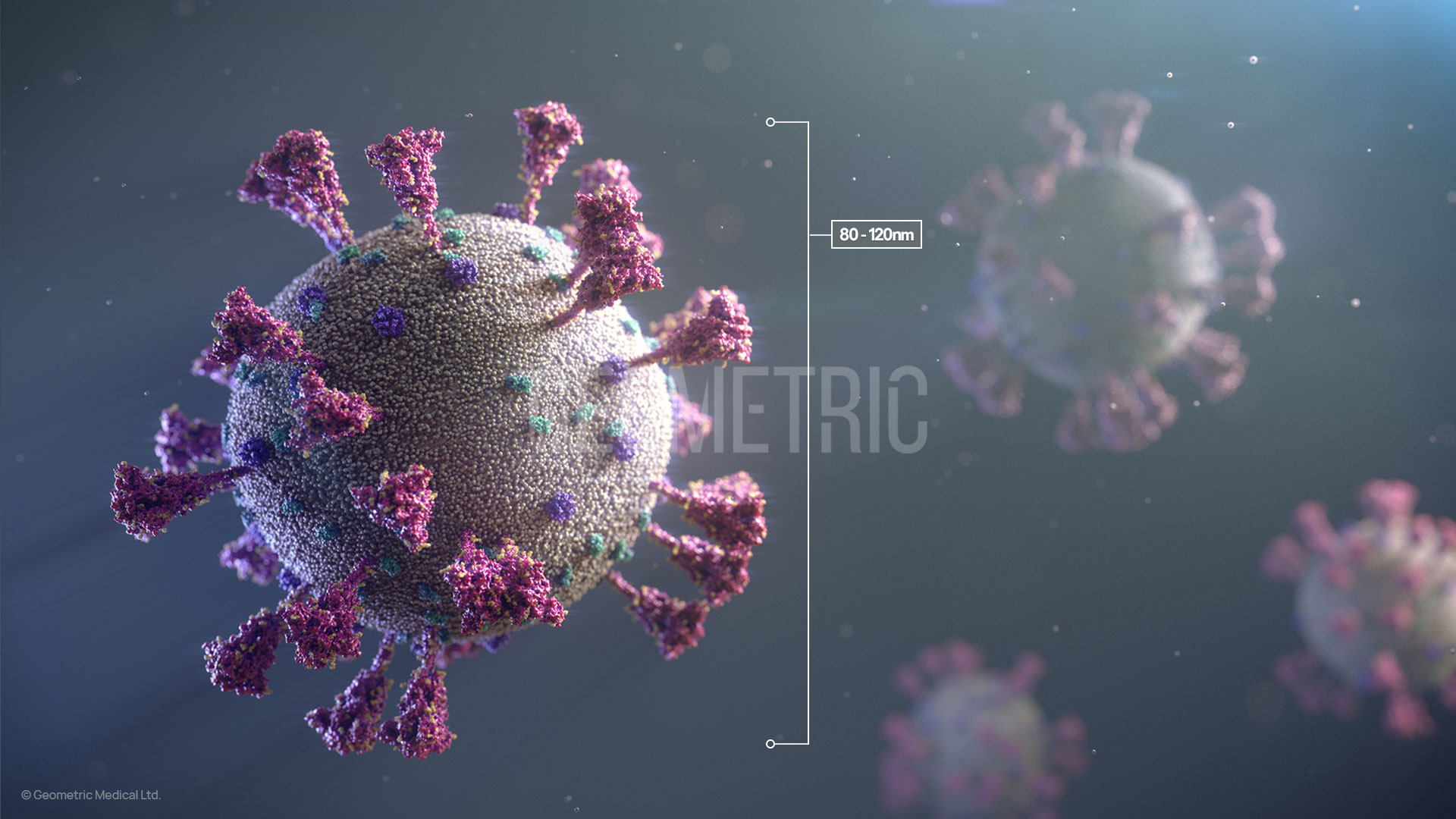 SARS-CoV-2 size, Illustration by Geometric Medical