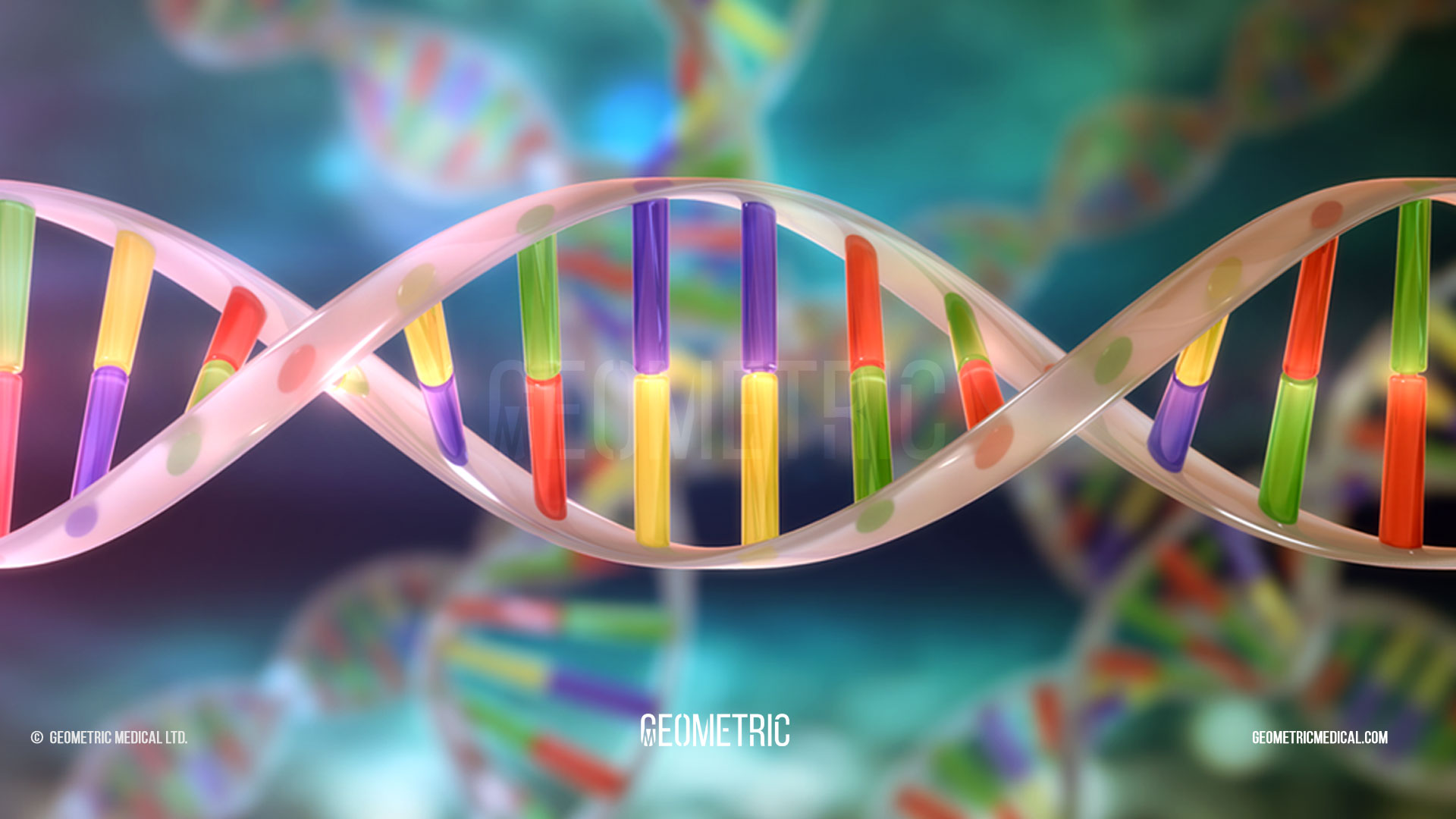 DNA 3D Illustration
