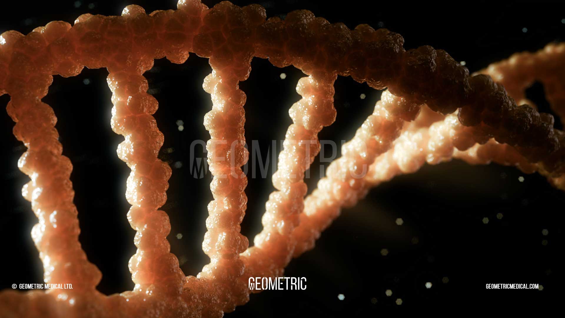 Bio International Event '19