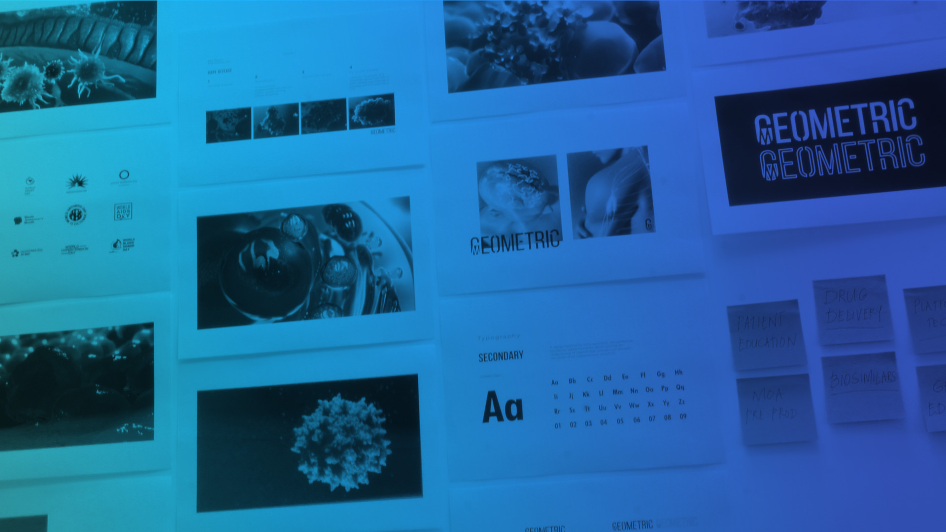 Guide to Medical Animation Process