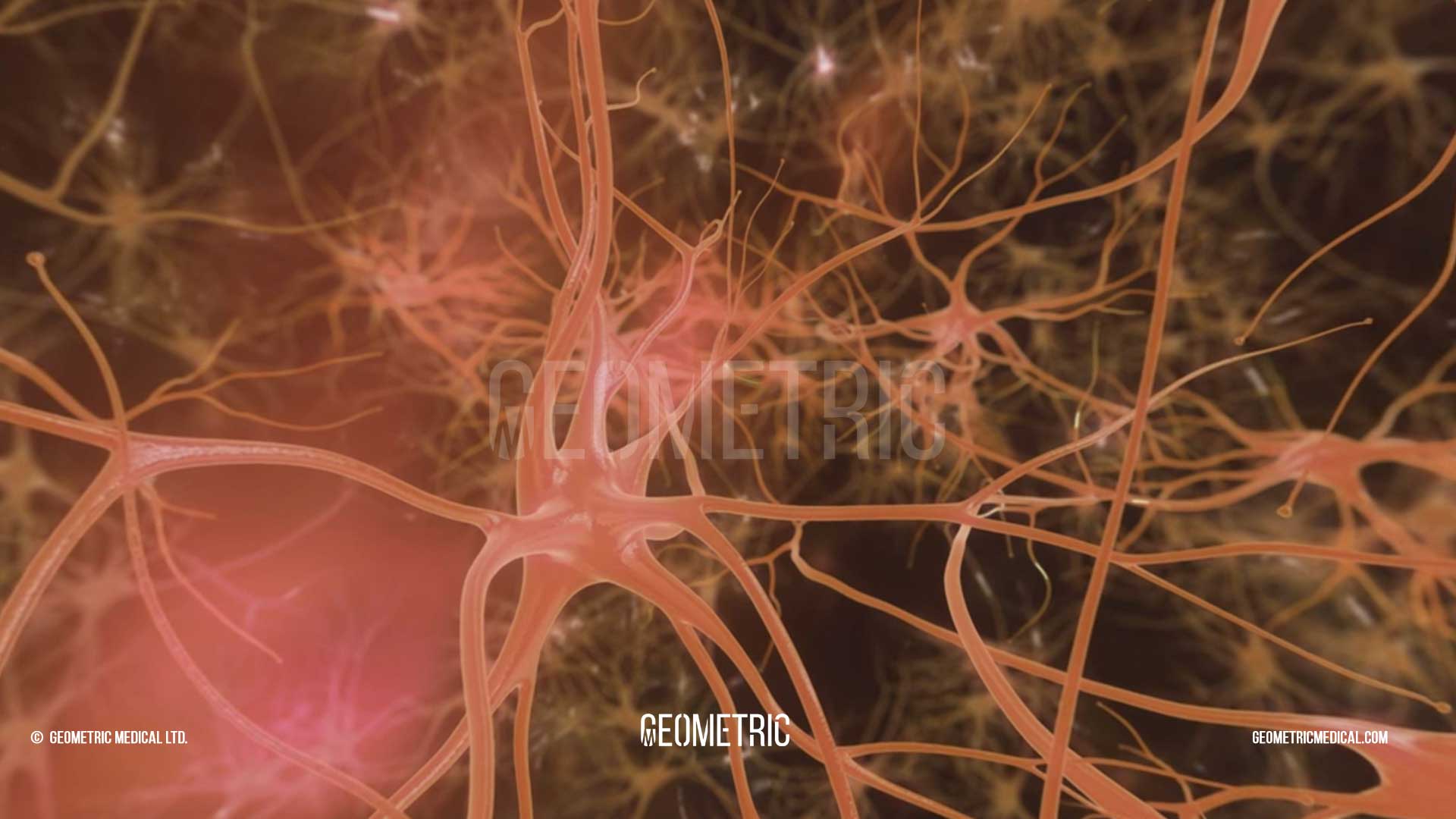 Brain VR 360 animation