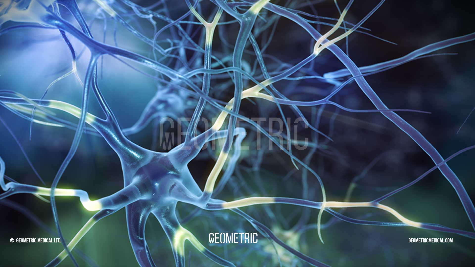 What is Huntington Disease