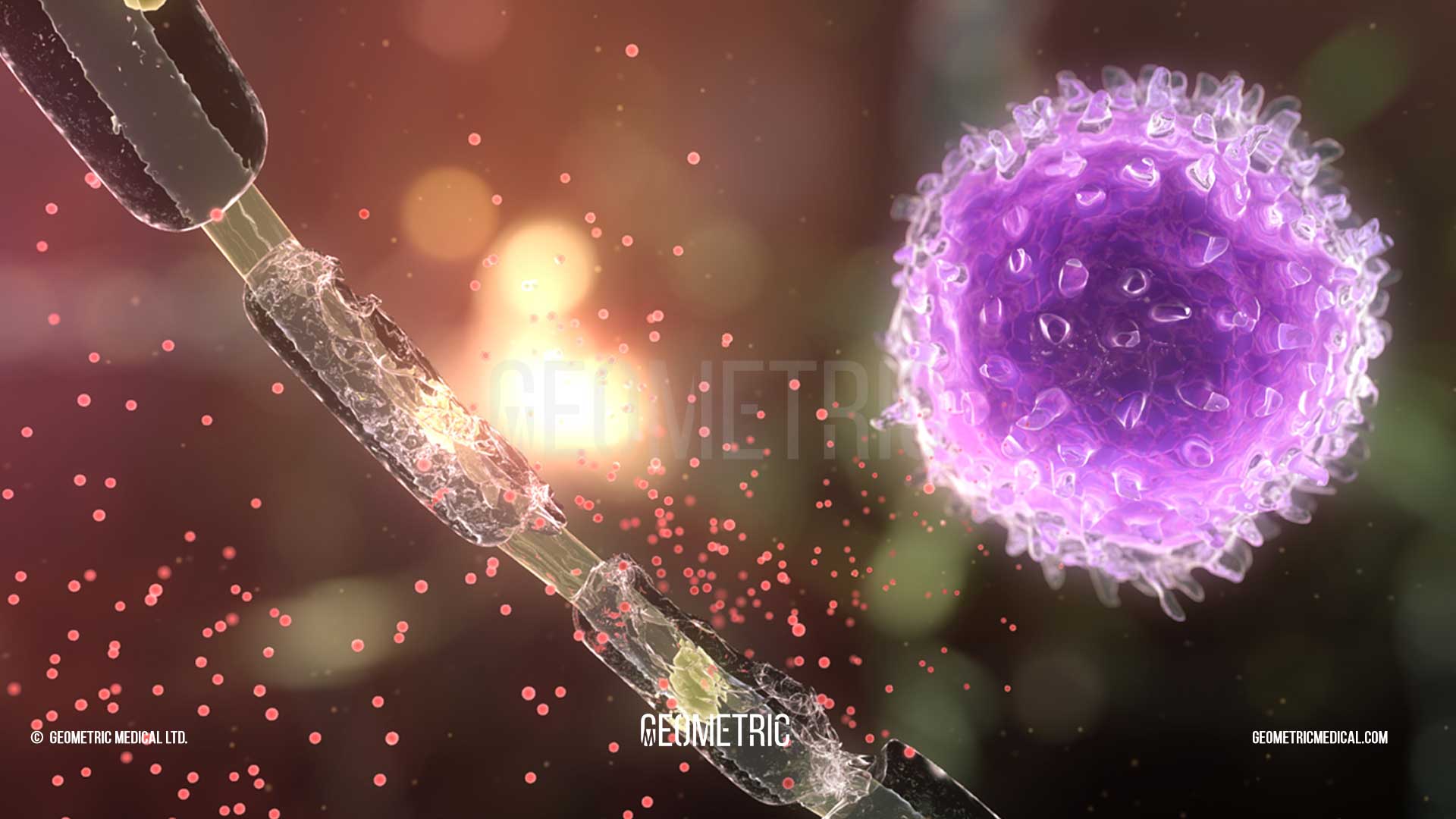 Multiple Sclerosis Animation