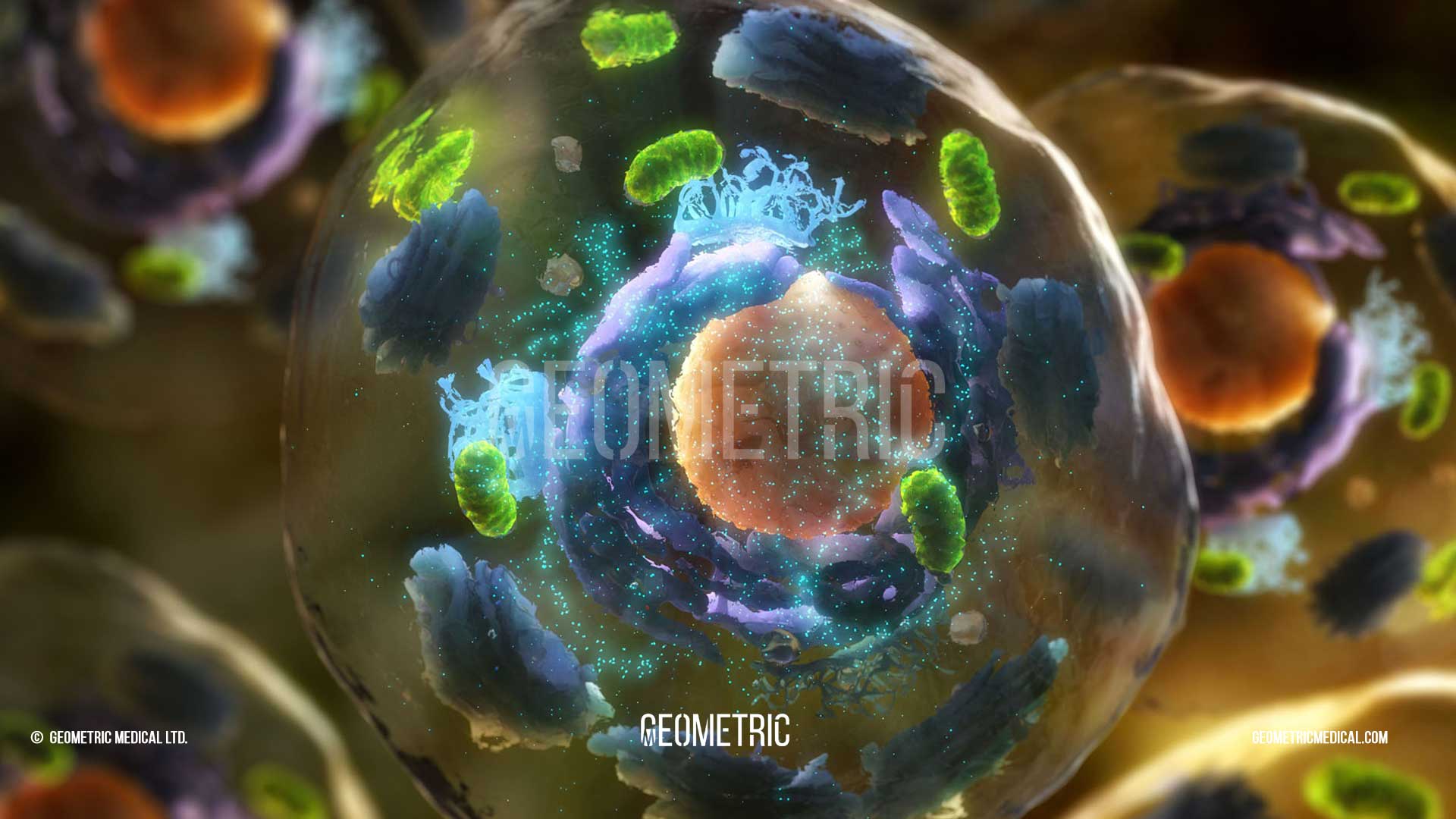 3D illustration inside the human cell