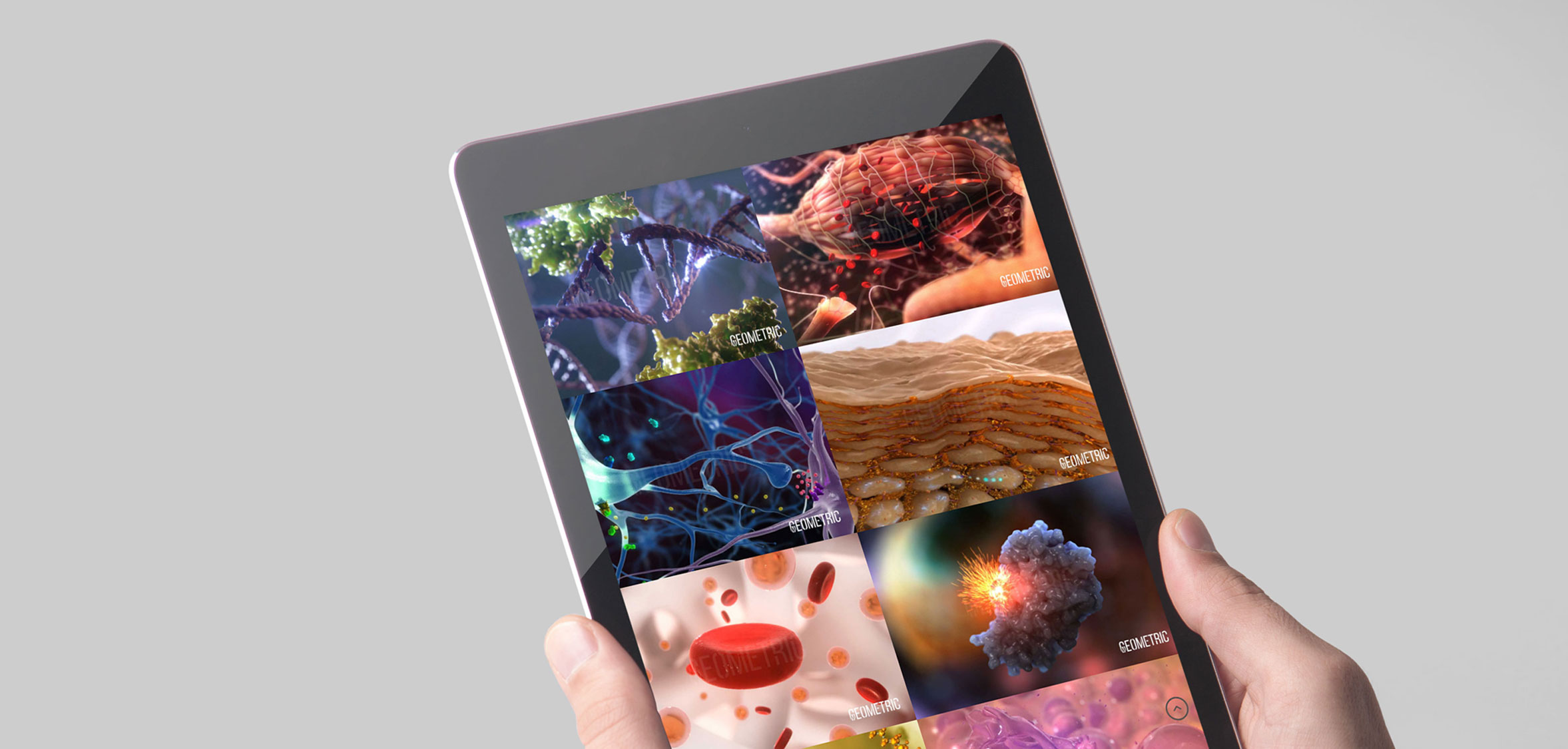 Geometric Medical Animation Company