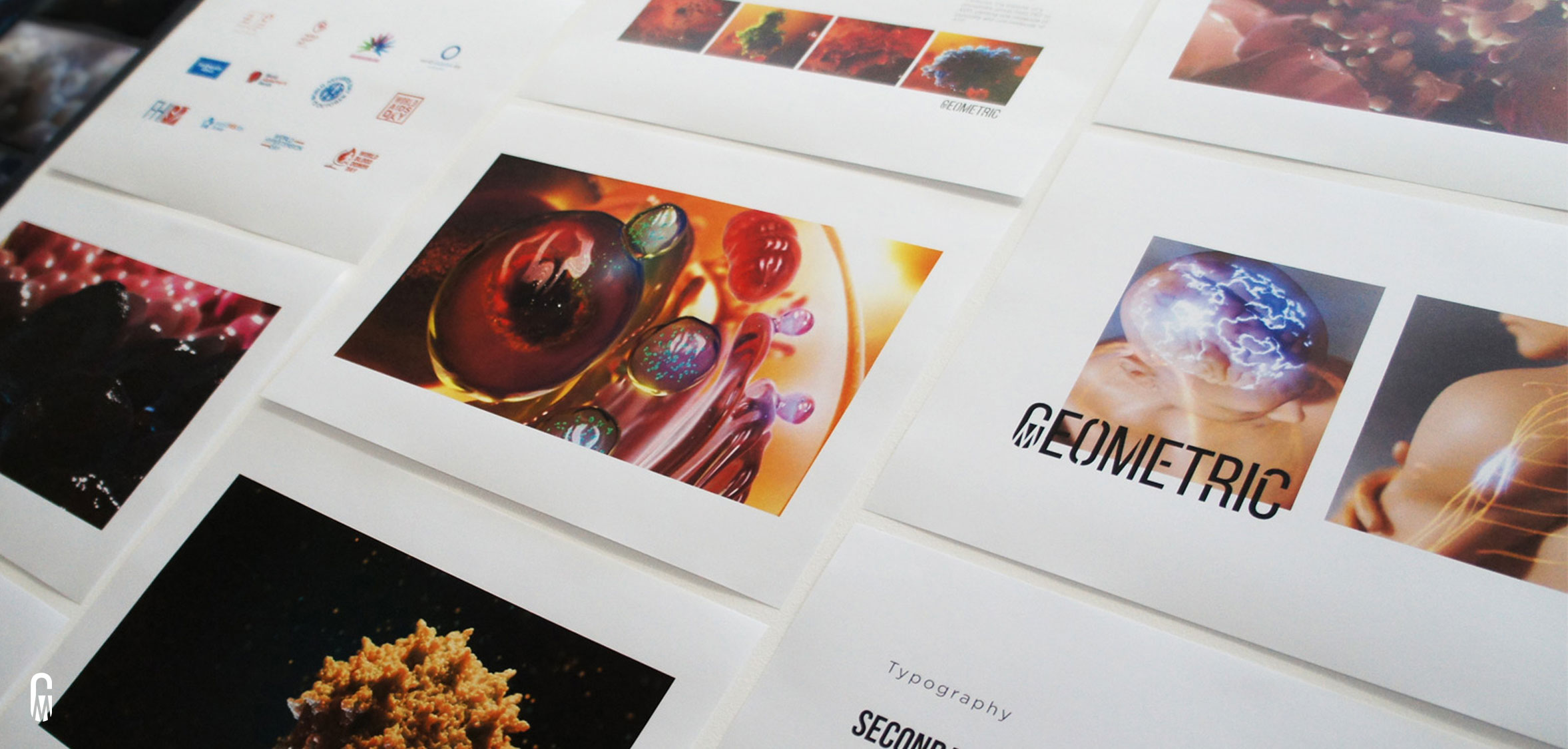 Geometric Medical Animation Company